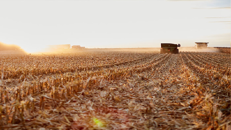 Farmers in Vernon County, WI, Depend on Soil Testing to Increase Yield