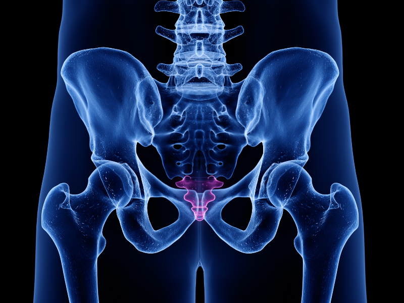 The Role of Hip Pain, Replacement, and Diagnosis in Ocala, FL