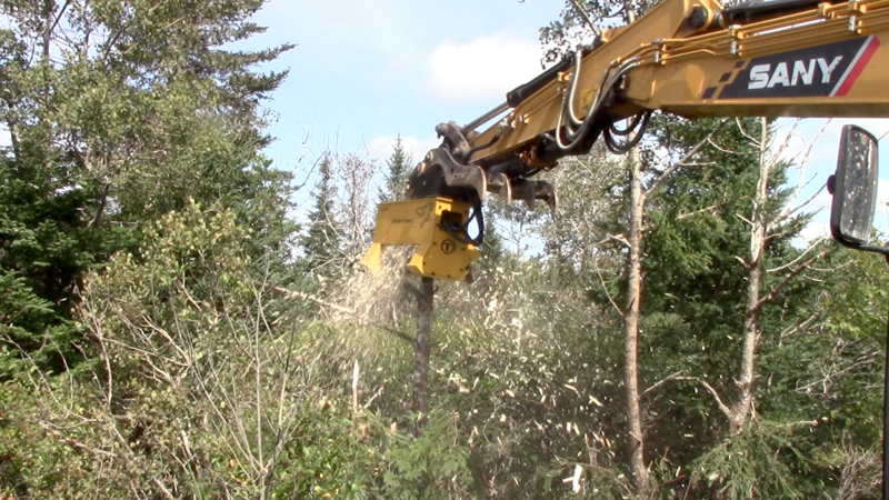 The Best Mini Excavator Forestry Mulcher Is Easy to Find If You Start Online